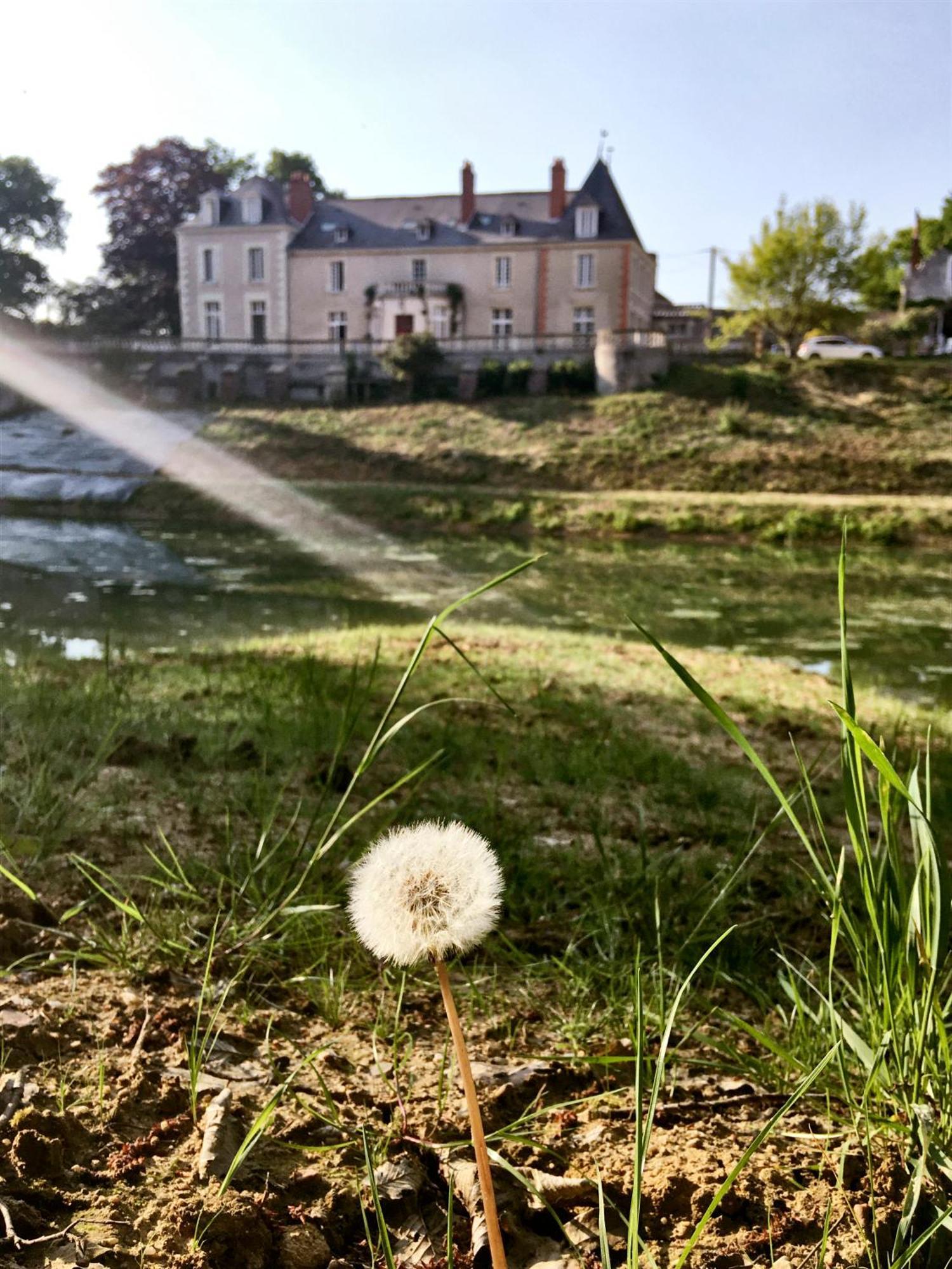 Chateau De La Huberdiere Nazelles-Negron Екстер'єр фото