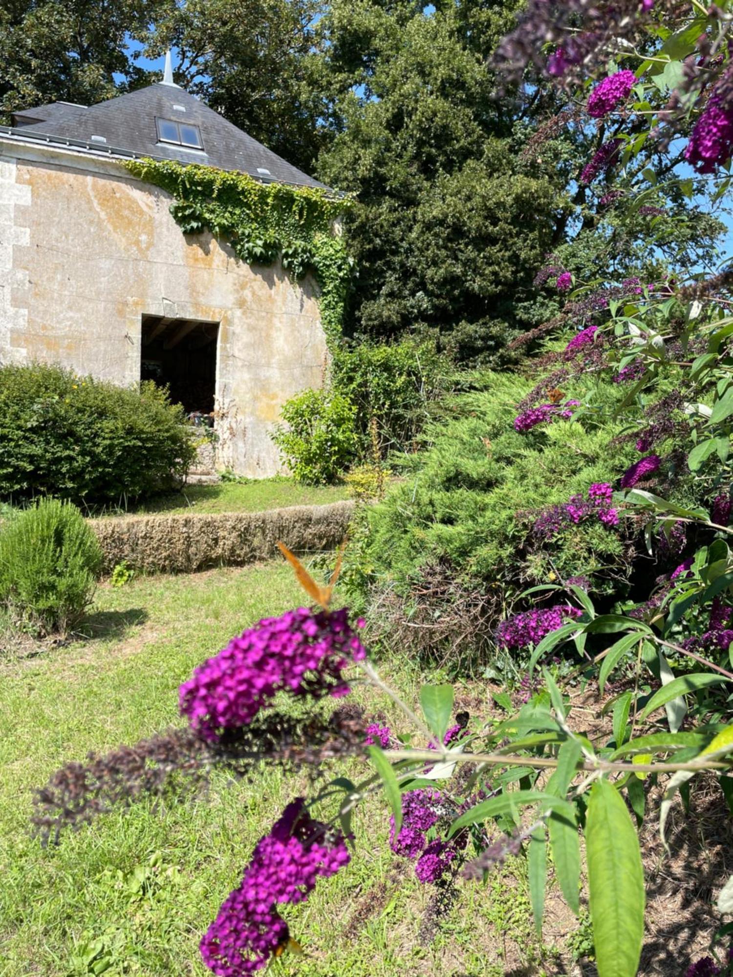 Chateau De La Huberdiere Nazelles-Negron Екстер'єр фото