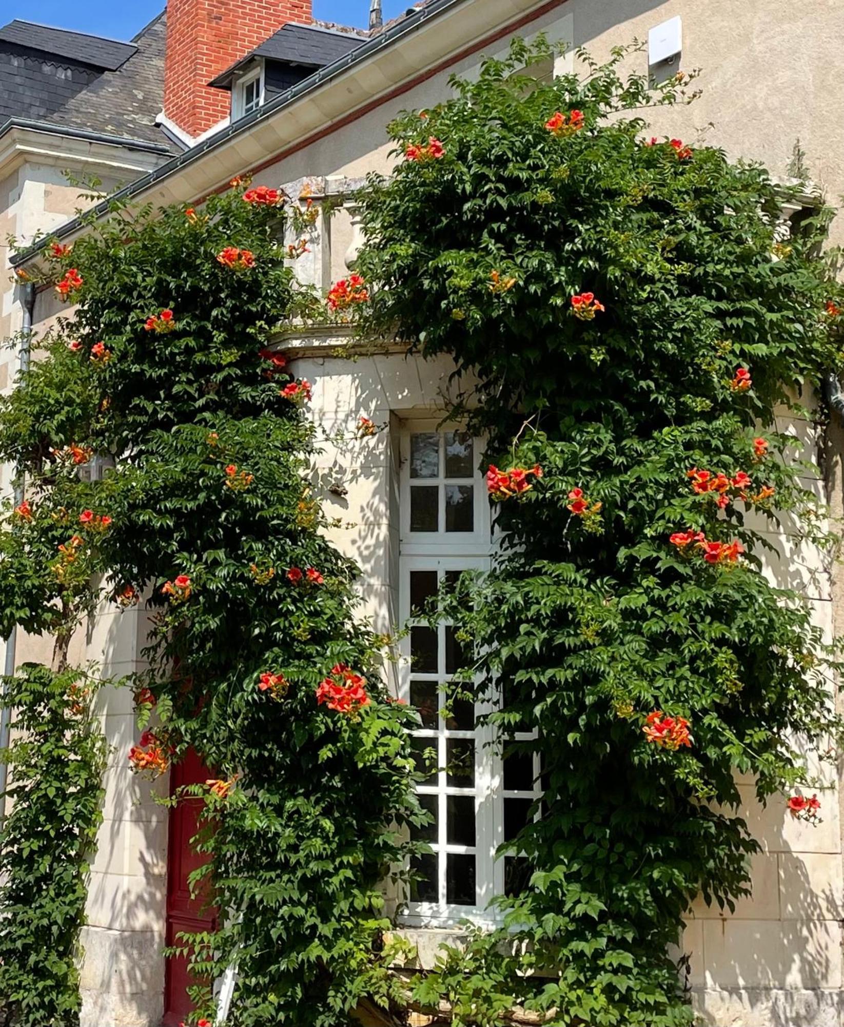 Chateau De La Huberdiere Nazelles-Negron Екстер'єр фото
